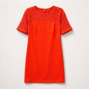 Elegant Orange Dress